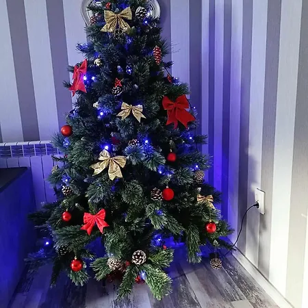 La Piatra Buhei 3*
