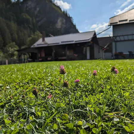Pensionat La Piatra Buhei 3*